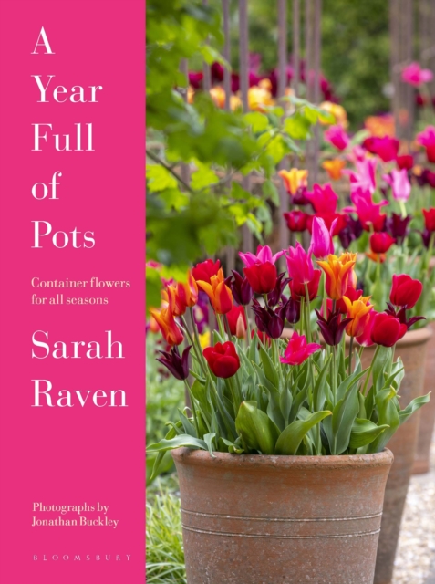 A Year Full of Pots: Container Flowers for All Seasons - Sarah Raven