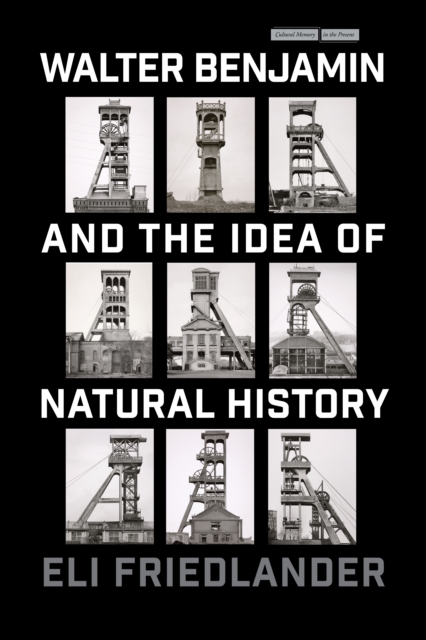 Walter Benjamin and the Idea of Natural History - Eli Friedlander