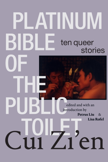 Platinum Bible of the Public Toilet: Ten Queer Stories - Zi'en Cui