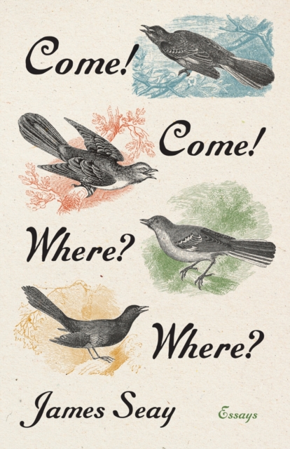 Come! Come! Where? Where?: Essays - James Seay