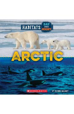 Coperta cărții 'Arctic (Wild World: Habitats Day and Night) - Brenna Maloney'