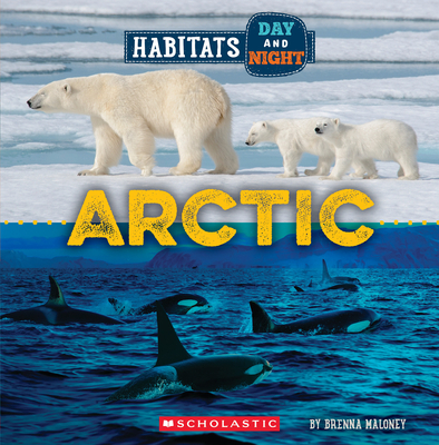 Arctic (Wild World: Habitats Day and Night) - Brenna Maloney