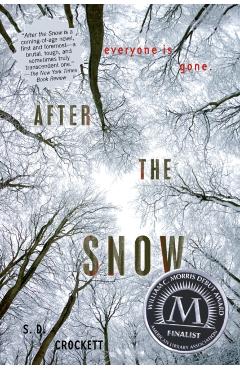 After the Snow - S. D. Crockett