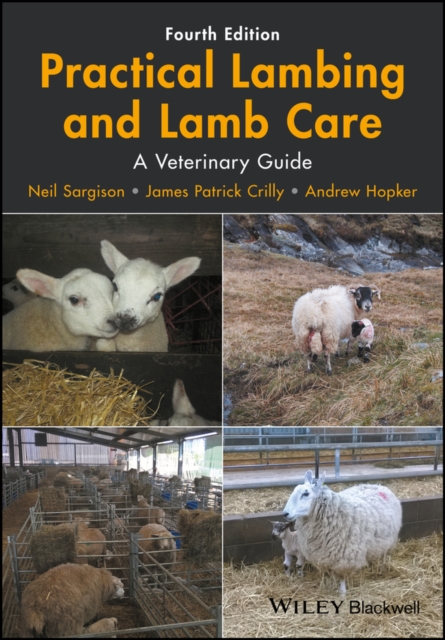 Practical Lambing and Lamb Care - Neil Sargison