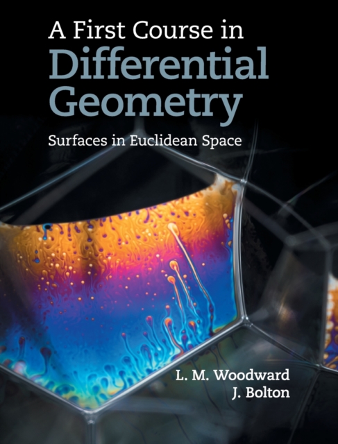 A First Course in Differential Geometry: Surfaces in Euclidean Space - Lyndon Woodward