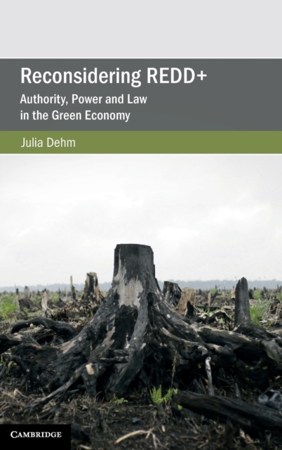 Reconsidering Redd+: Authority, Power and Law in the Green Economy - Julia Dehm