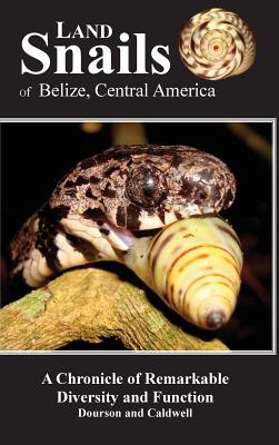 Land Snails of Belize, Central America: A Remarkable Chronicle of Diversity and Function - Daniel C. Dourson