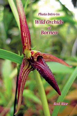 Photo Intro to: Wild Orchids of Borneo - Rod Rice