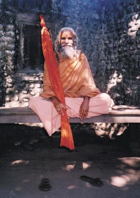Dandi Swami: The Story of the Guru's Will, Maharishi Mahesh Yogi, the Shankaracharyas of Jyotir Math, & Meetings with Dandi Swami N - Paul Mason