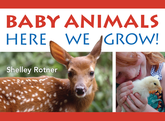 Baby Animals!: Here We Grow - Shelley Rotner