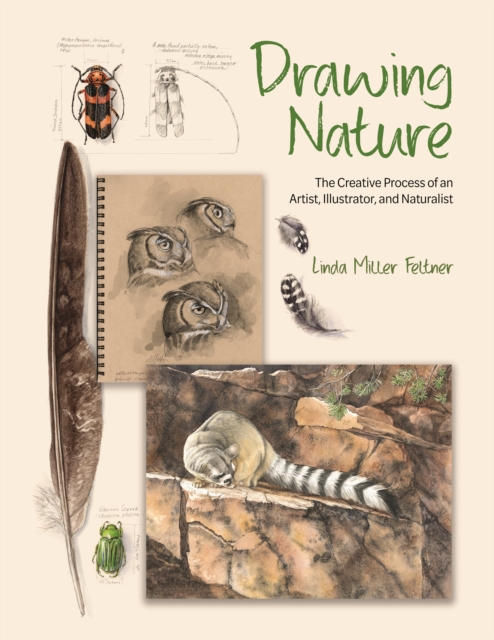 Drawing Nature: The Creative Process of an Artist, Illustrator, and Naturalist - Linda Miller Feltner