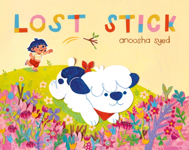 Lost Stick - Anoosha Syed