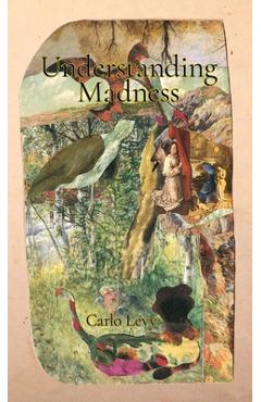Coperta cărții 'Understanding Madness - Carlo Levy'