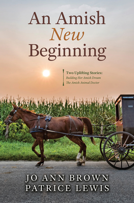 An Amish New Beginning - Jo Ann Brown