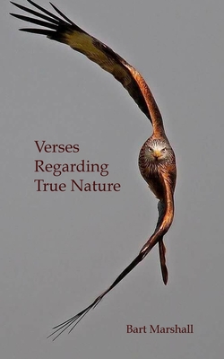 Verses Regarding True Nature - Bart Marshall