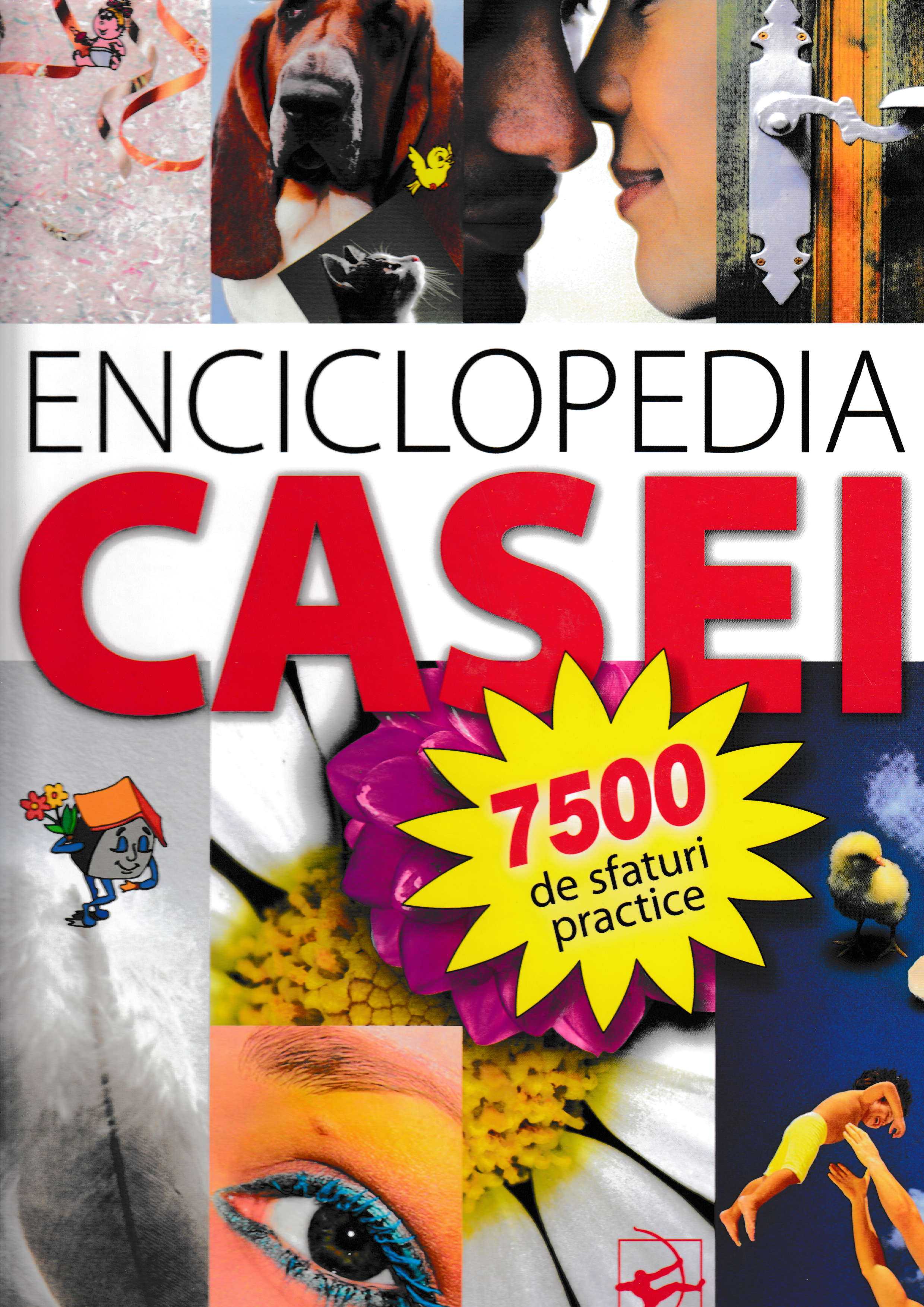 Enciclopedia casei - Mile Radicevic