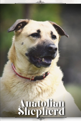 Coperta cărții 'Anatolian Shepherd: Dog breed overview and guide - Nina Pustova'