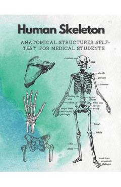 Poza produsului Human Skeleton, Anatomical structures self-test for medical students: kull, Ribs, Arm & Leg Bones, Pelvis, Spine - Damed Art