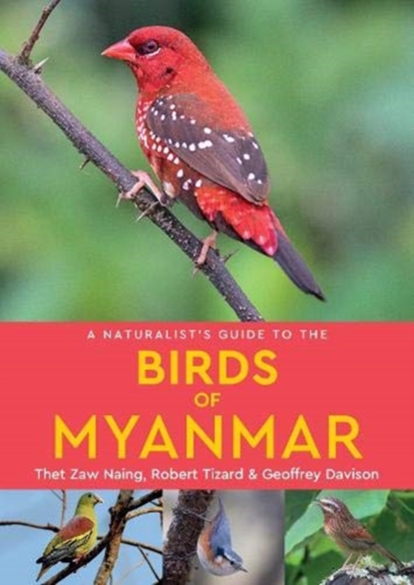 A Naturalist's Guide to the Birds of Myanmar - Thet Zaw Naing