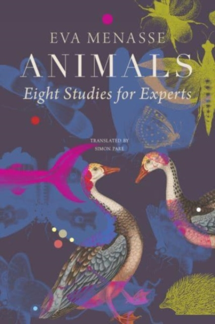 Animals: Eight Studies for Experts - Eva Menasse