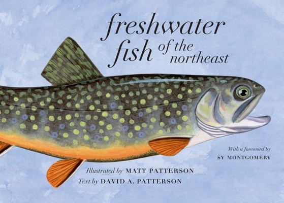 Freshwater Fish of the Northeast - Matt Patterson
