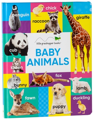 Baby Animals (Large Padded Board Book) - Little Grasshopper Books