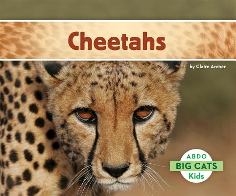 Coperta cărții 'Cheetahs - Claire Archer'