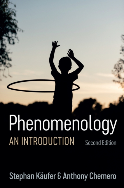 Phenomenology: An Introduction - Stephan Kufer