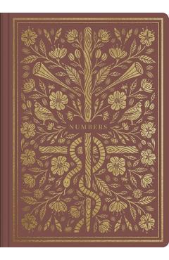 Coperta cărții 'ESV Illuminated Scripture Journal: Numbers -'