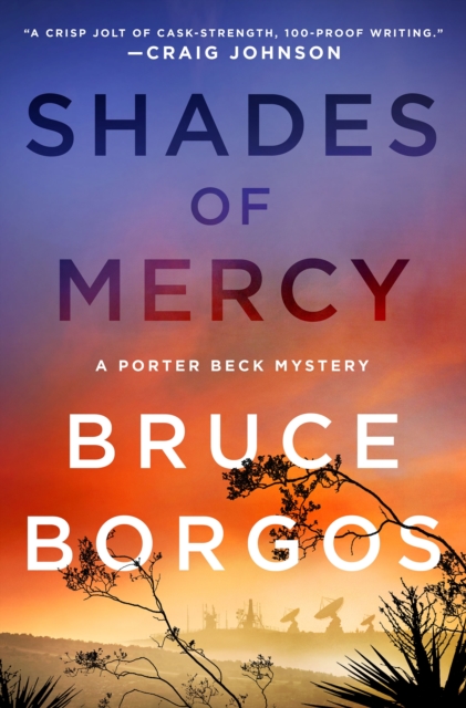 Shades of Mercy: A Porter Beck Mystery - Bruce Borgos