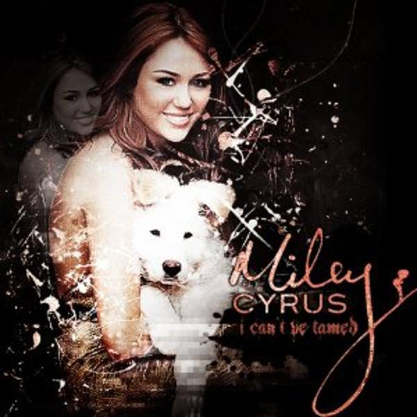 Cd Miley Cyrus - Can T Be Tamed