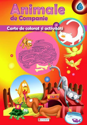 Animale de companie - Carte de colorat si activitati