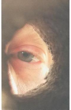 Poza produsului Dream Fishing the Little Spokane - Jeffrey Dunn