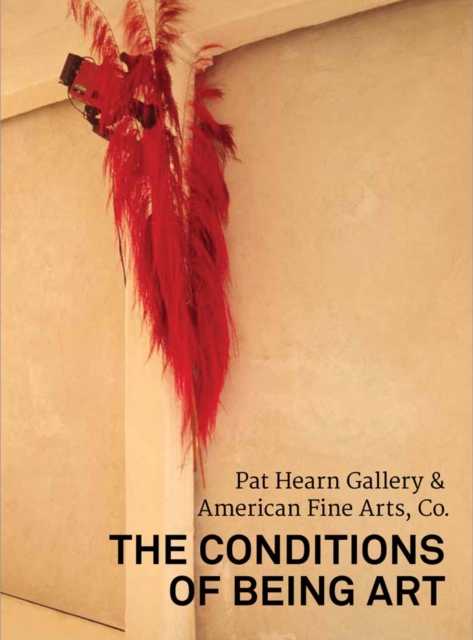 The Conditions of Being Art: Pat Hearn Gallery & American Fine Arts, Co. - Jeannine Tang