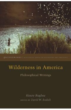 Coperta cărții 'Wilderness in America: Philosophical Writings - Henry Bugbee'