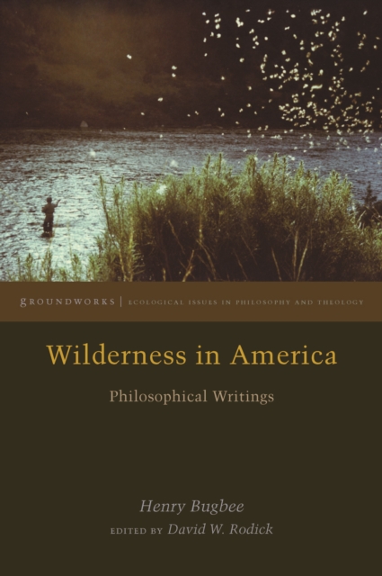 Wilderness in America: Philosophical Writings - Henry Bugbee