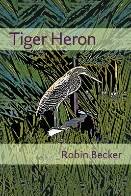 Tiger Heron - Robin Becker