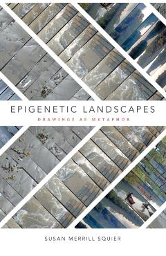 Poza produsului Epigenetic Landscapes: Drawings as Metaphor - Susan Merrill Squier