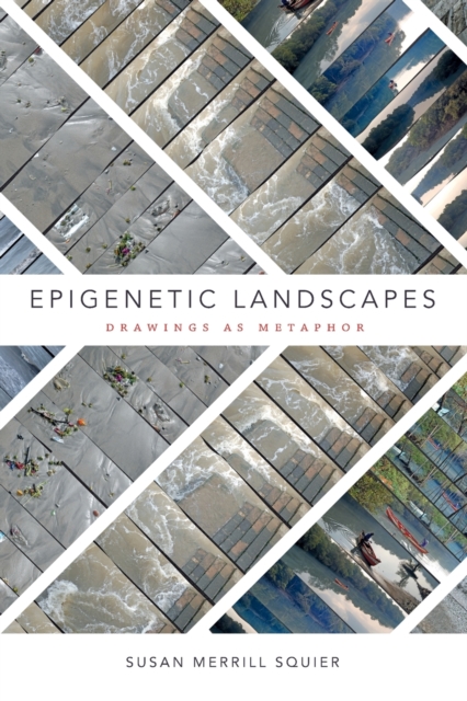 Epigenetic Landscapes: Drawings as Metaphor - Susan Merrill Squier