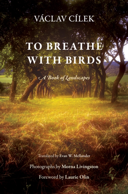 To Breathe with Birds: A Book of Landscapes - Vclav Clek