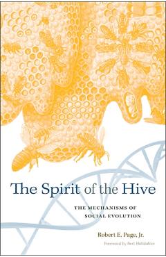 Coperta cărții 'Spirit of the Hive: The Mechanisms of Social Evolution - Robert E. Page'