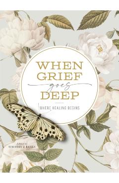 When Grief Goes Deep: Where Healing Begins - Timothy Beals