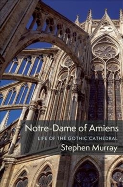 Notre-Dame of Amiens: Life of the Gothic Cathedral - Stephen Murray