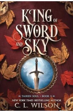 King of Sword and Sky - C. L. Wilson