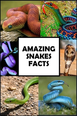 Amazing Snakes Facts: Fun Facts about Snakes Guaranteed to Blow Your Mind - Mental Bomb