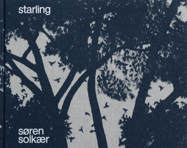 Søren Solkær: Starling - Soren Solkaer