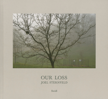 Joel Sternfeld: Our Loss - Joel Sternfeld
