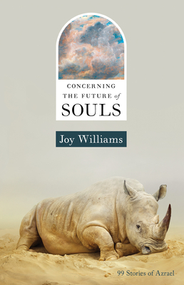 Concerning the Future of Souls - Joy Williams