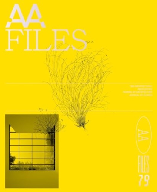 AA Files 79 - Maria Shéhérazade Giudici