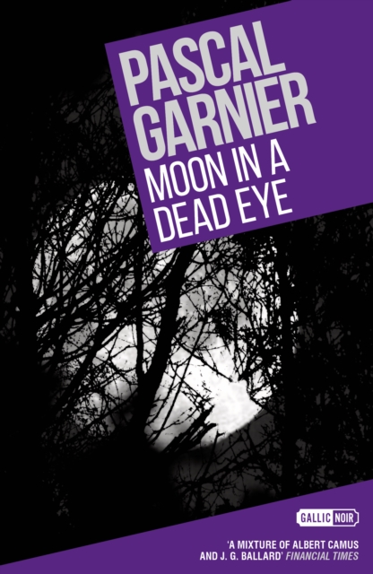 Moon in a Dead Eye: Shocking, Hilarious and Poignant Noir - Pascal Garnier